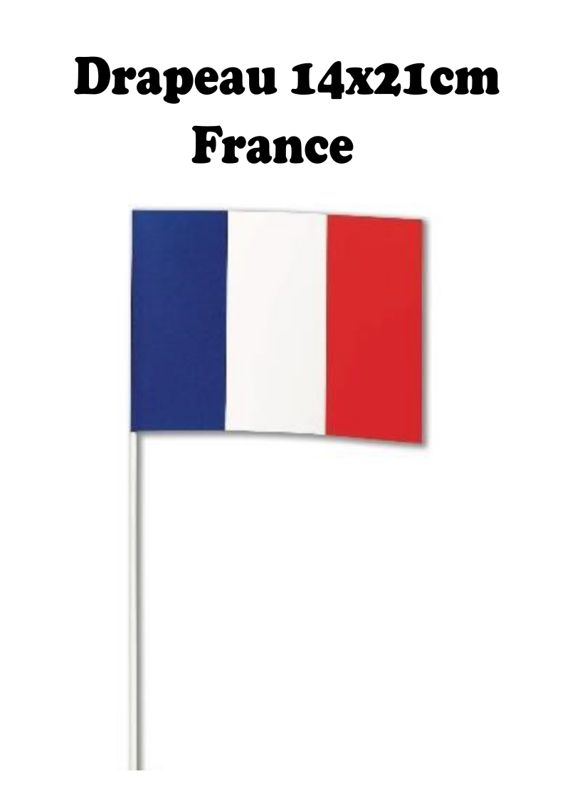 Drapeau 14x21cm France - VM Stores