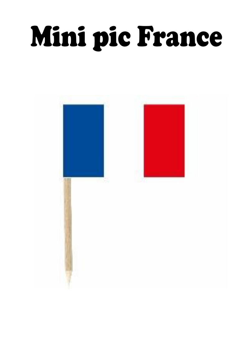 Mini pic France - VM Stores