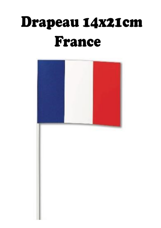 Drapeau 14x21cm France - VM Stores