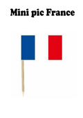 Mini pic France - VM Stores